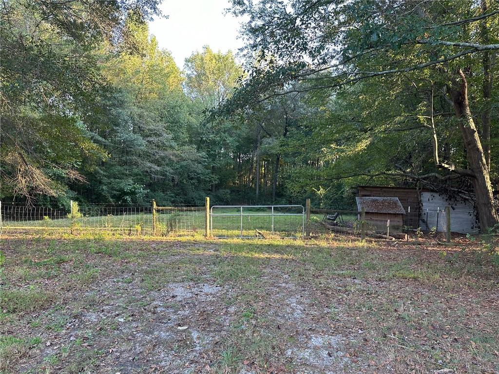 a view of a backyard with large trees