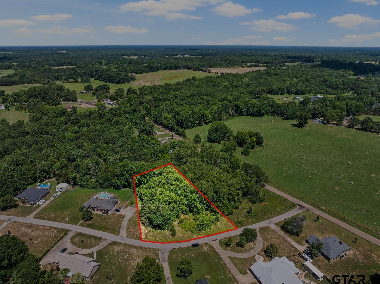 an aerial view of a residential houses with outdoor space and trees