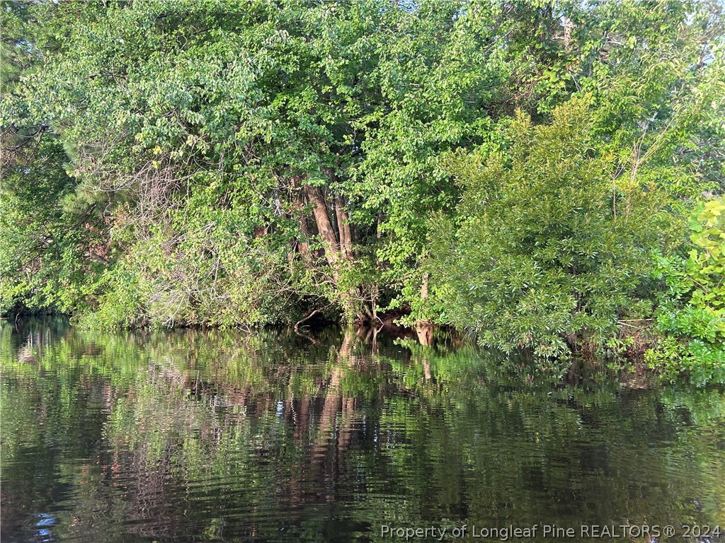 a view of lake