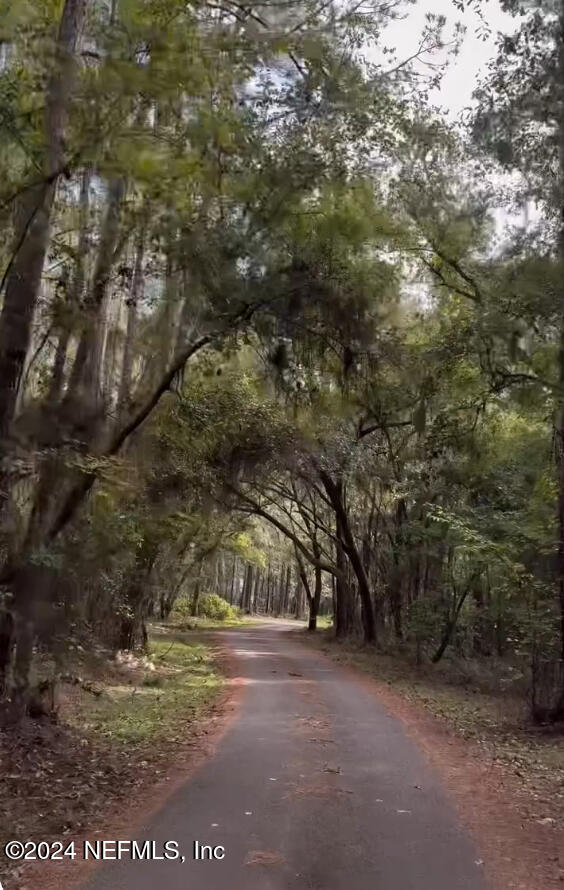 a view of dirt field and trees