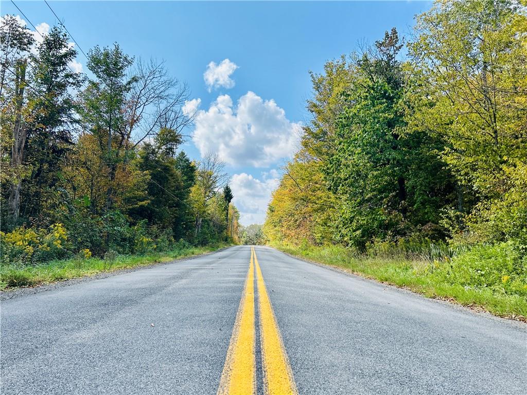 View of road