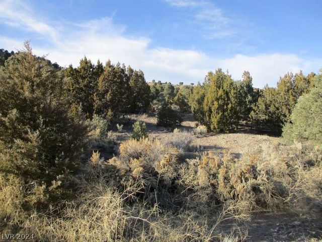 $753,750 | 322 (30.15 Ac) Pioche Nv 89043 | Ursine