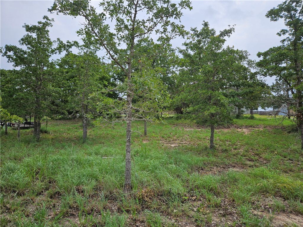 a view of a green field with lots of bushes