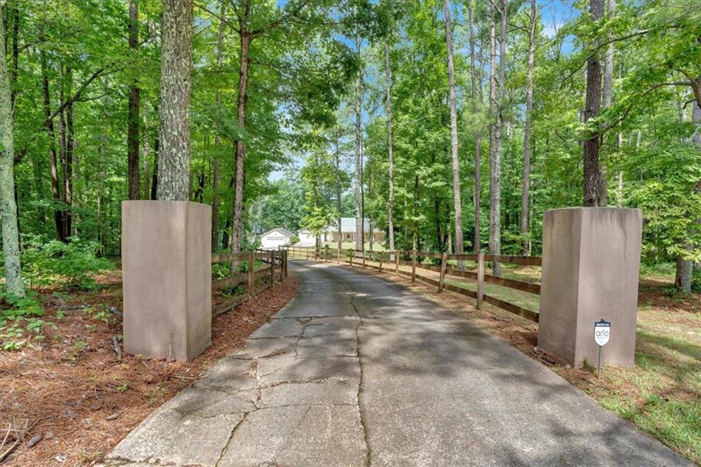 a view of a kid door with large trees