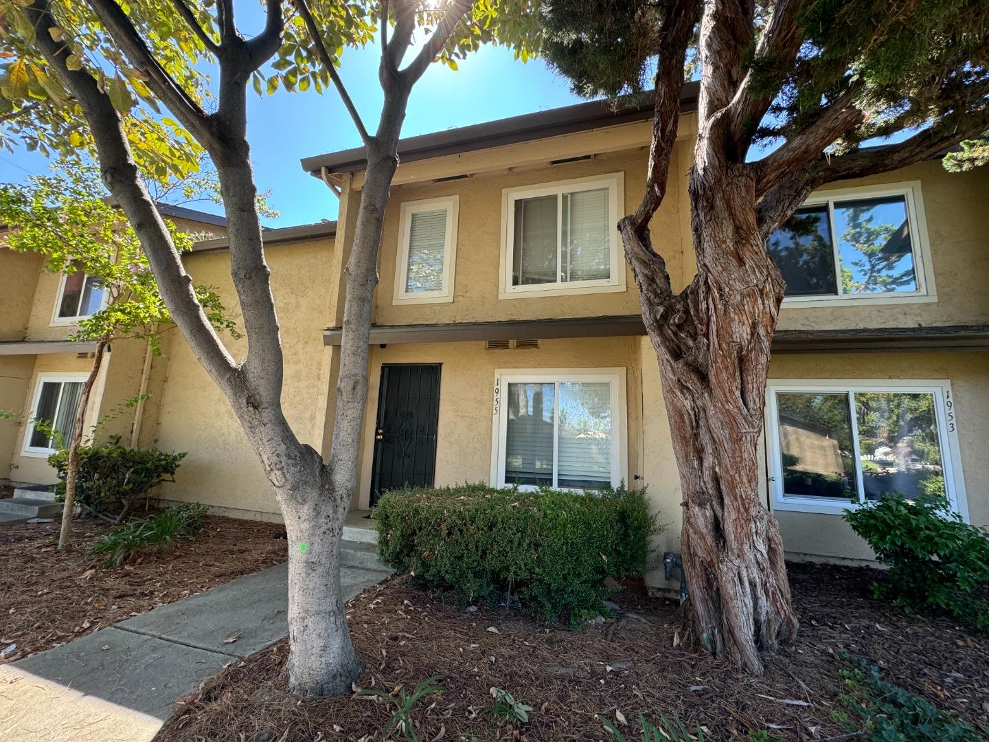 a front view of a house with a tree