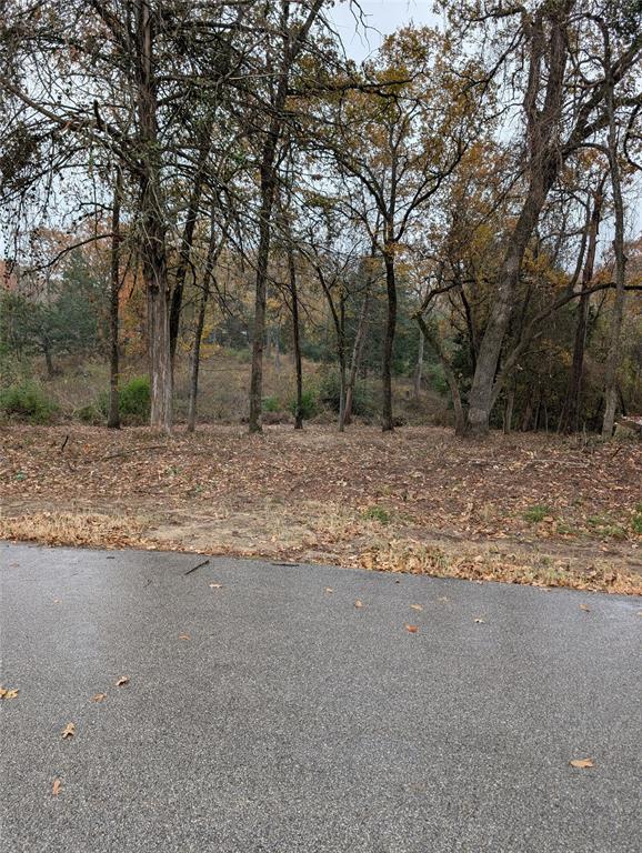 a view of a yard with a tree