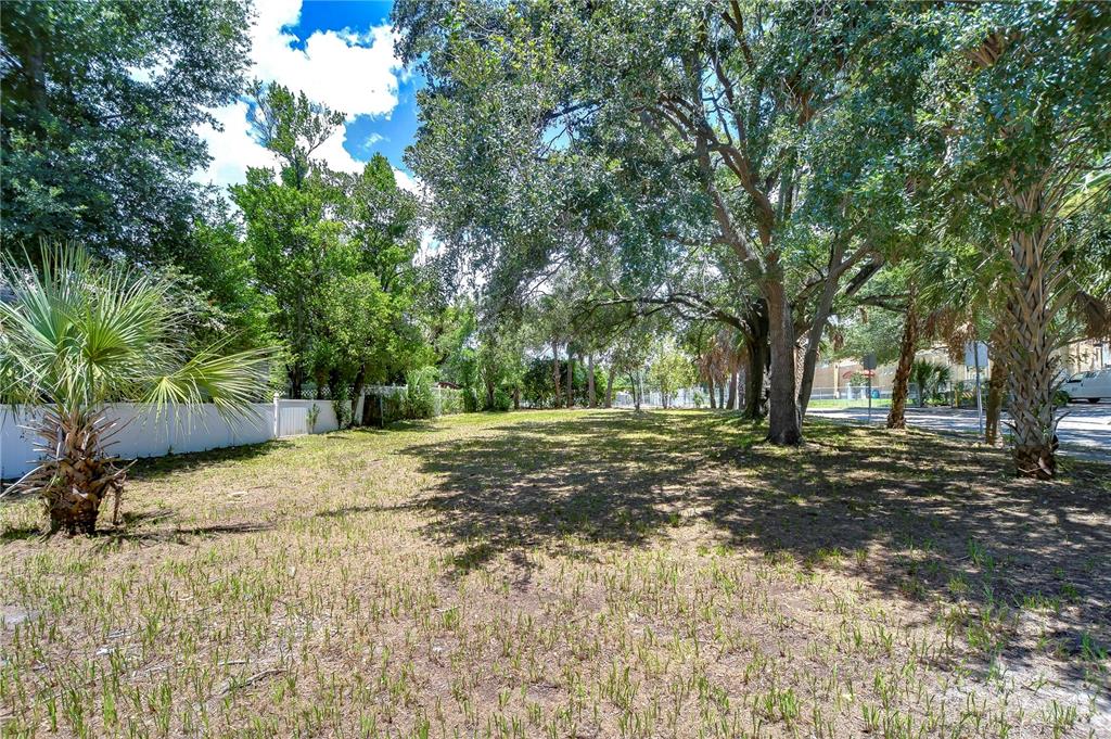 a view of a yard with plants and trees