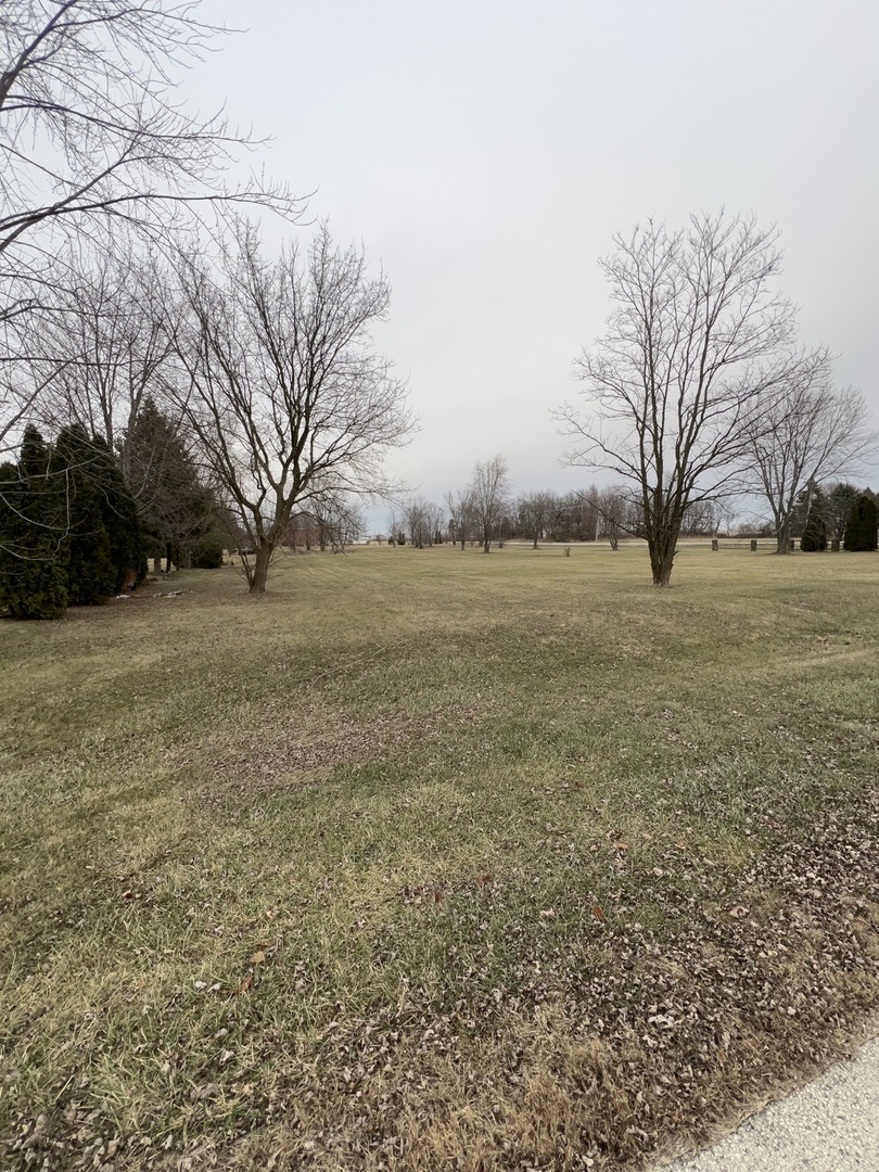 a view of outdoor space and yard