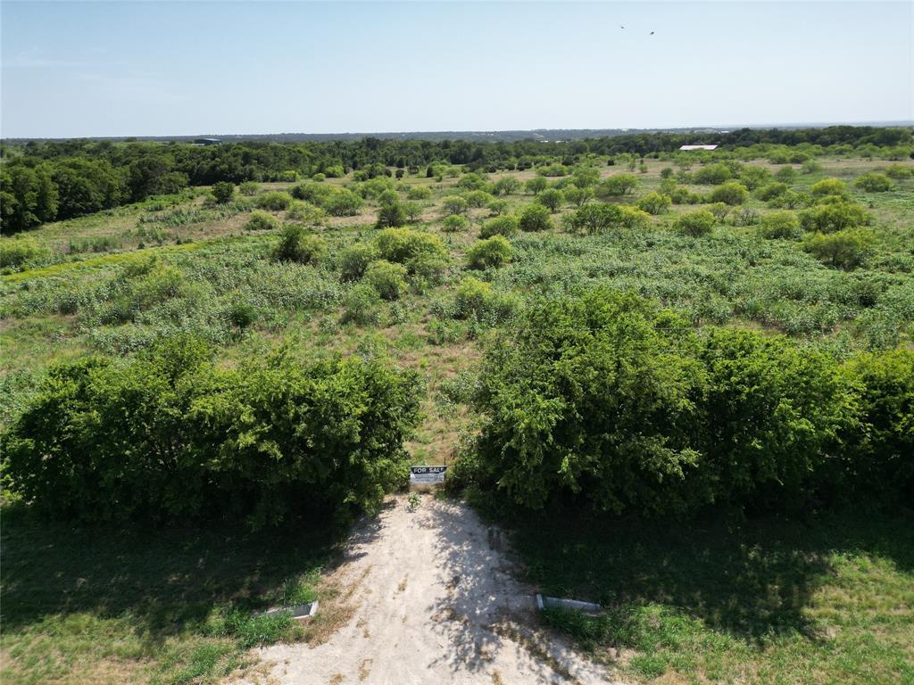 a view of a lush green forest with lots of trees