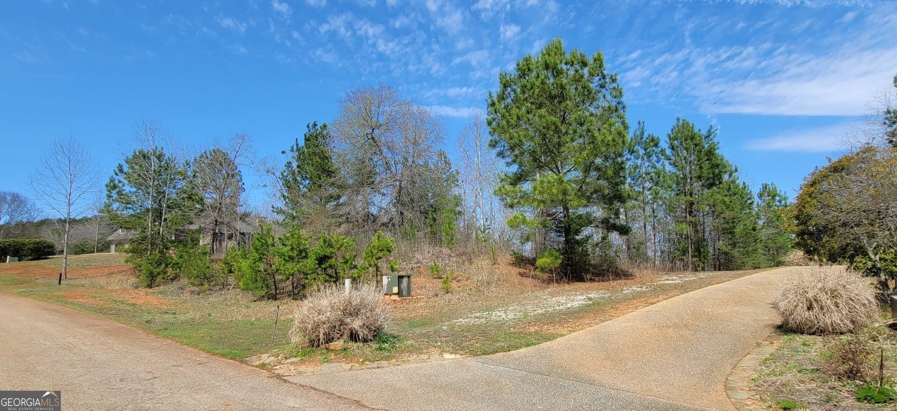 a view of a yard with plants and a trees