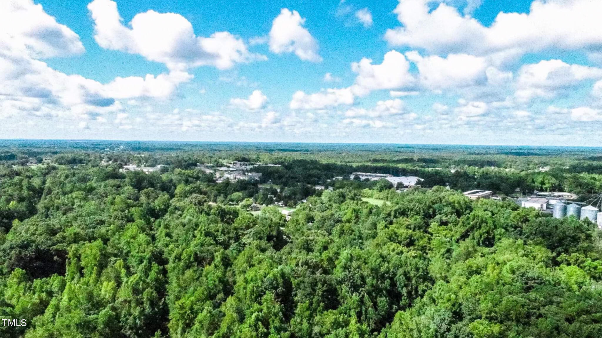 a view of a city with lots of green space