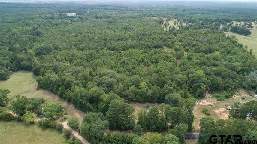 an aerial view of forest