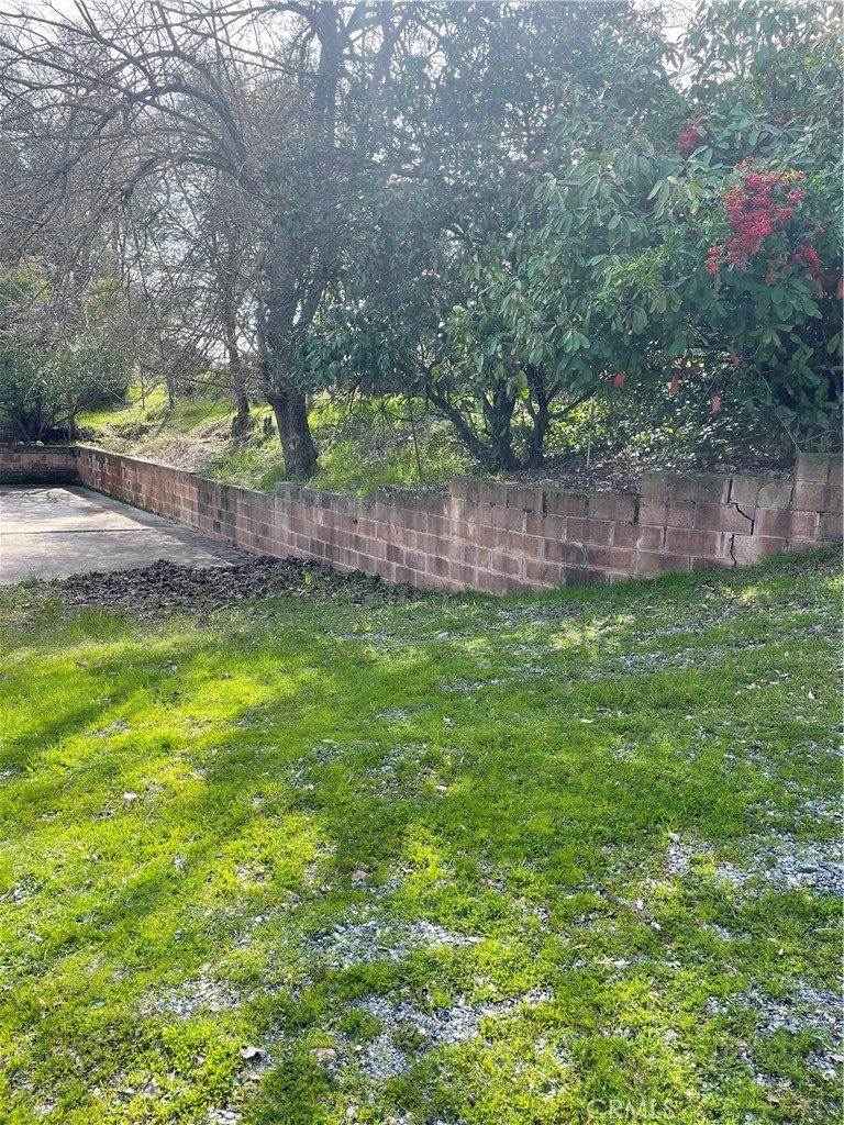 a view of a backyard with a small cabin