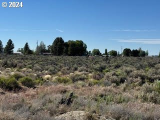 a view of a field