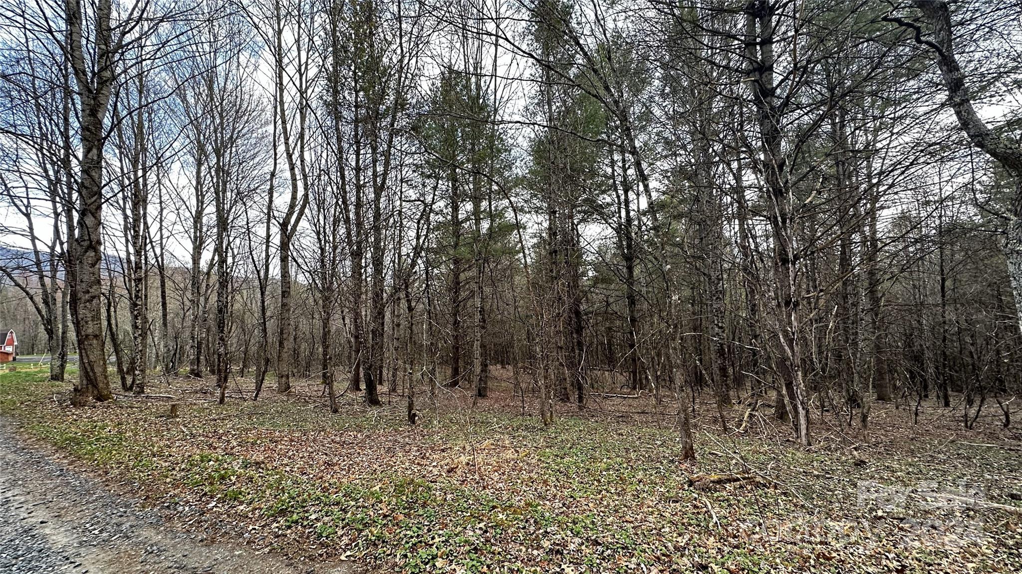 a view of outdoor space with lots of trees