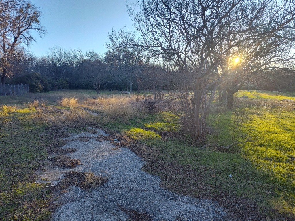 a view of a yard with a tree