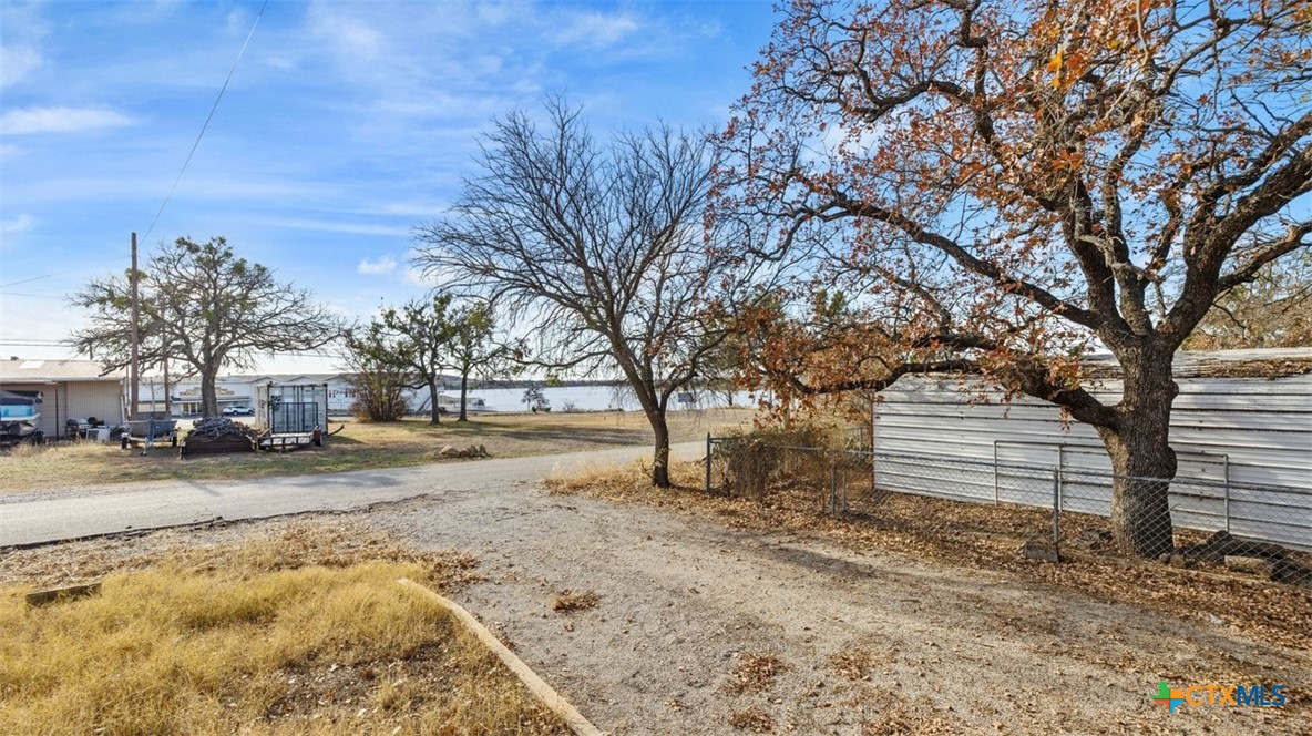 a view of a yard with a tree