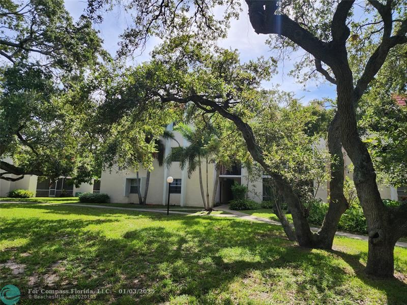 a view of a house with a tree in a yard