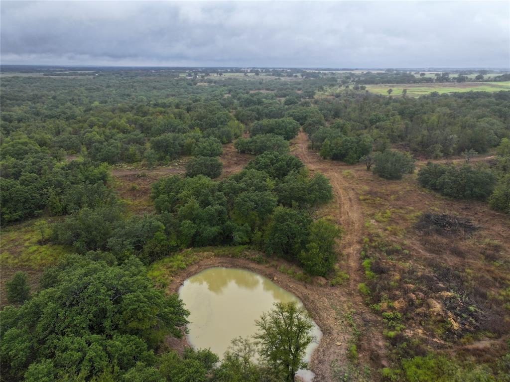 a view of a lake in middle of forest