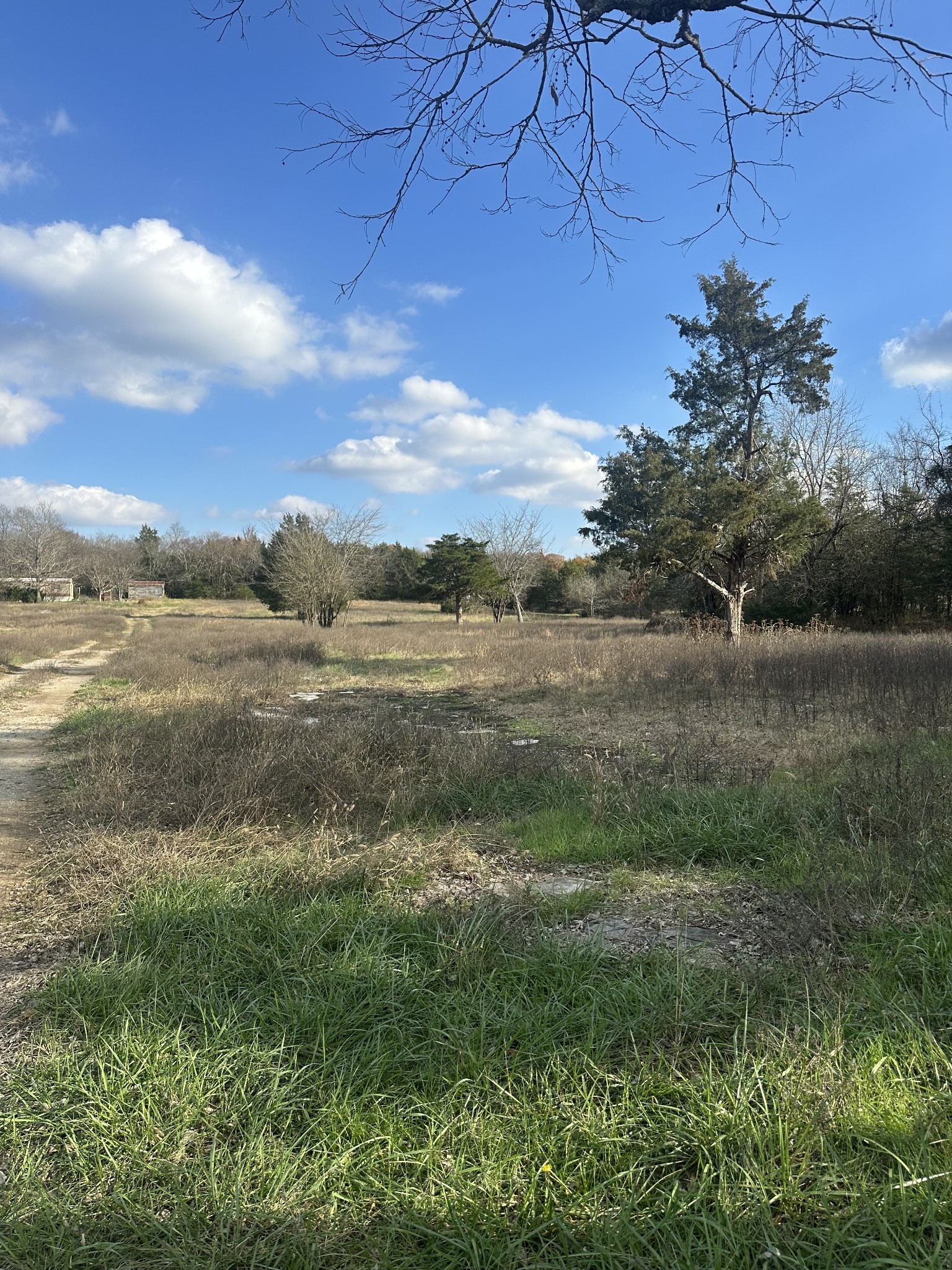 a view of a lake with a yard