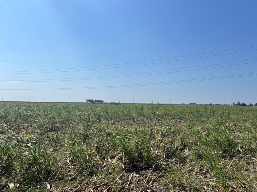 a view of a field with an ocean view