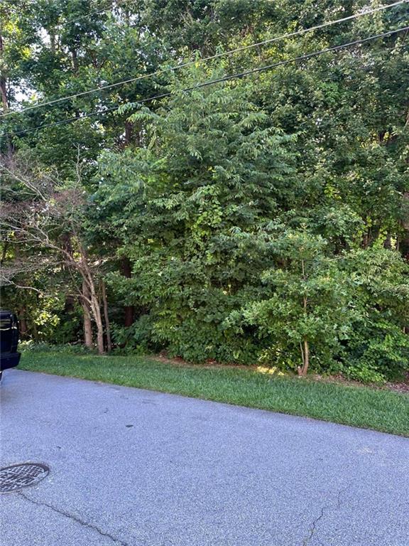 a view of a yard with a trees