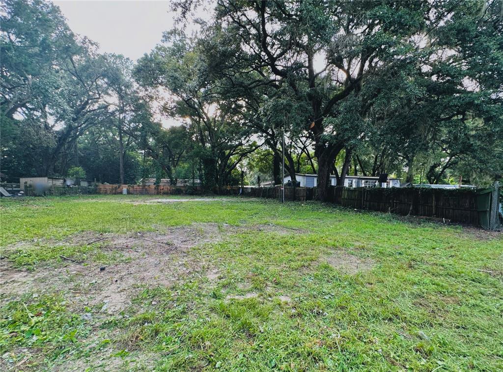 a view of a field with a tree