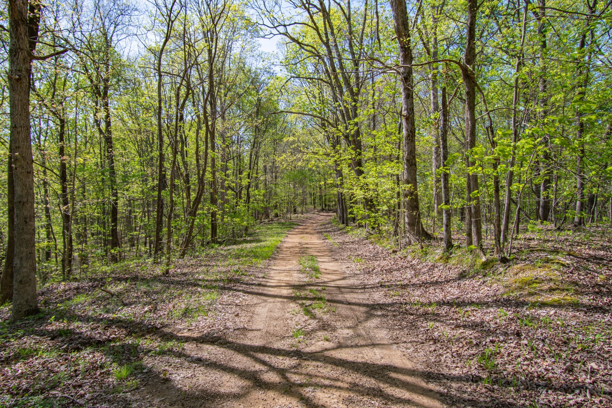 a view of outdoor space and trees