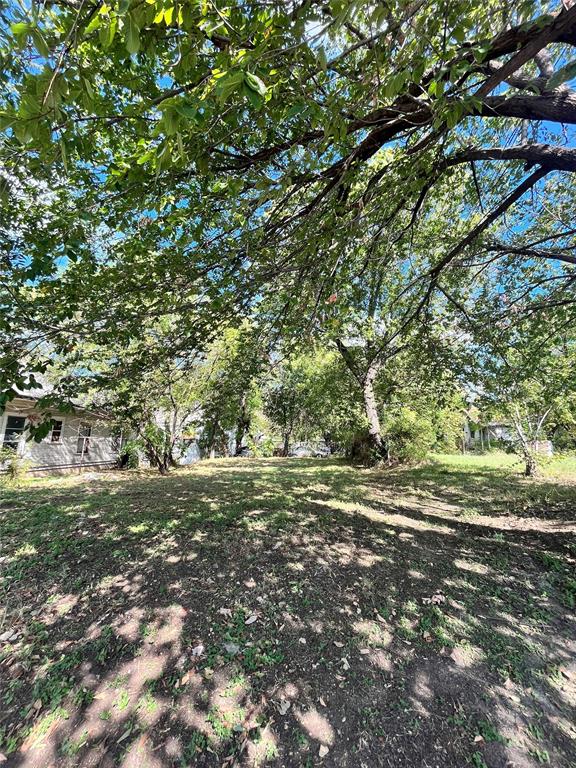 a big yard with lots of green space and trees all around