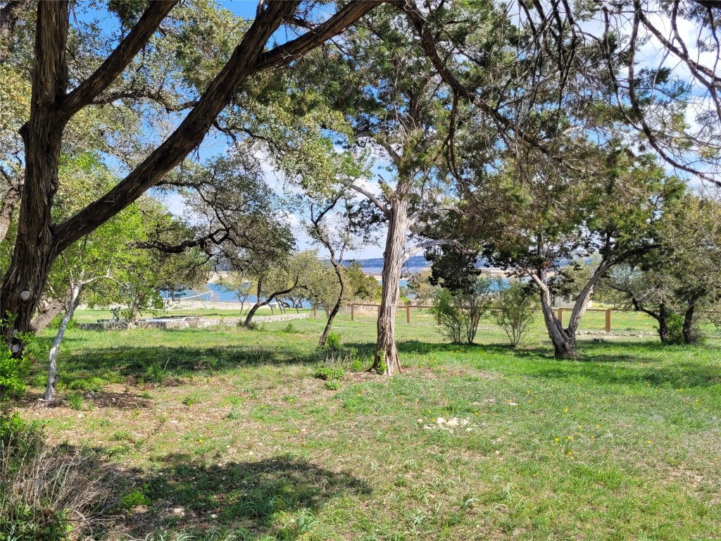 a view of backyard with green space