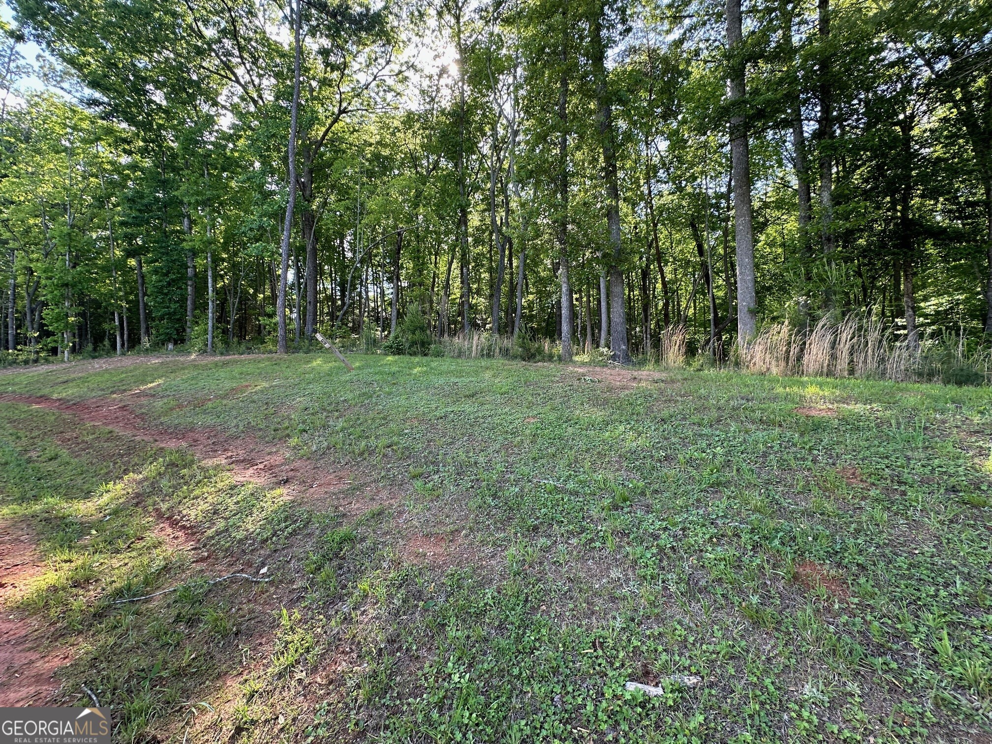 a big yard with lots of green space and deers