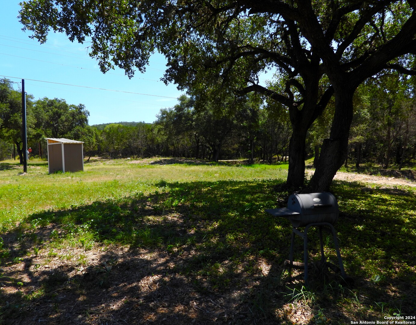 a view of a trees with a yard