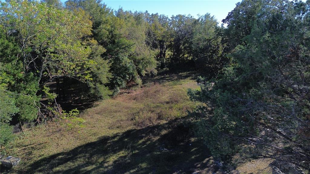 a view of a tree with a yard