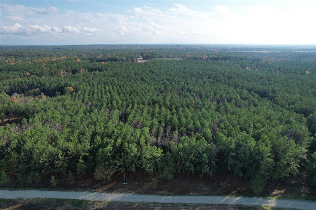 a view of a city with lush green forest