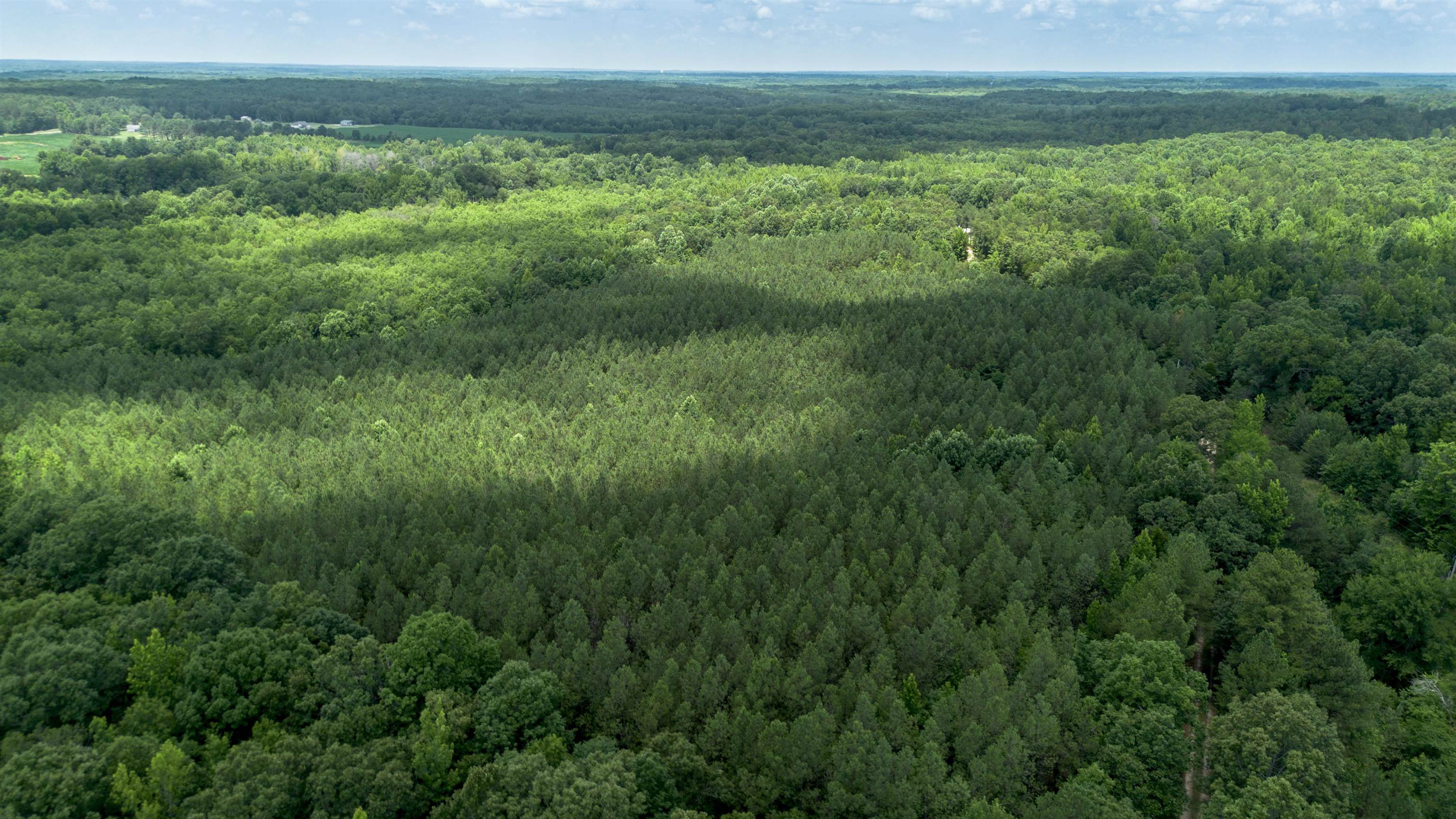 a view of a field of grass and trees