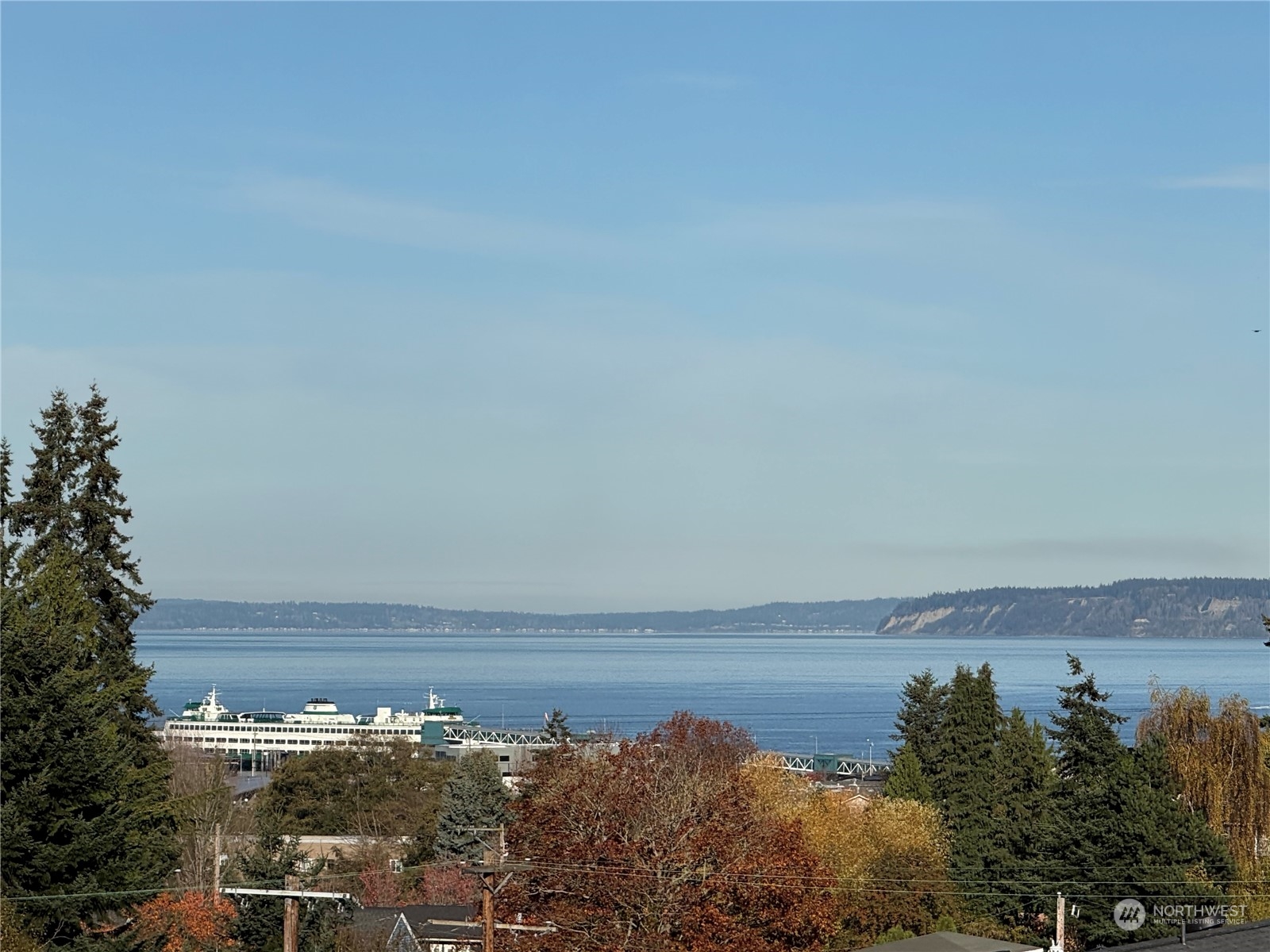 a view of a lake with a city