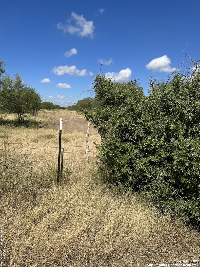 a view of a yard