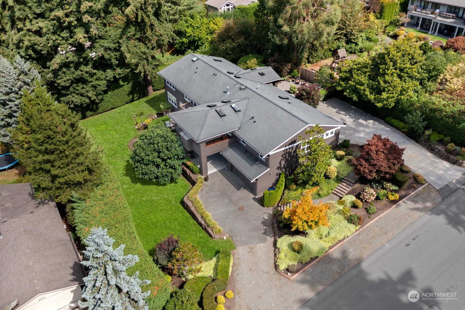 an aerial view of a house with a yard and a large tree