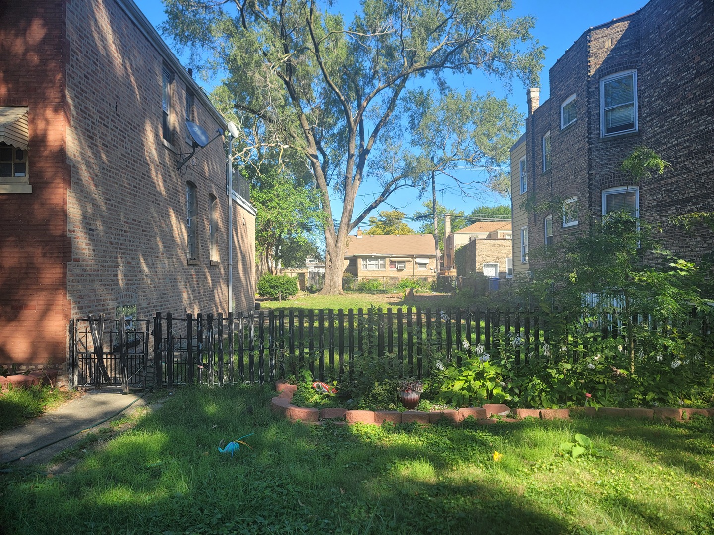 a view of a garden with a bench