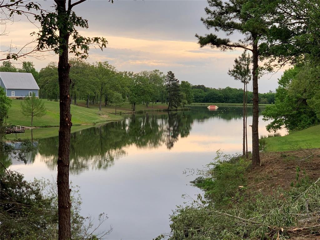 a body of water with a tree in the background