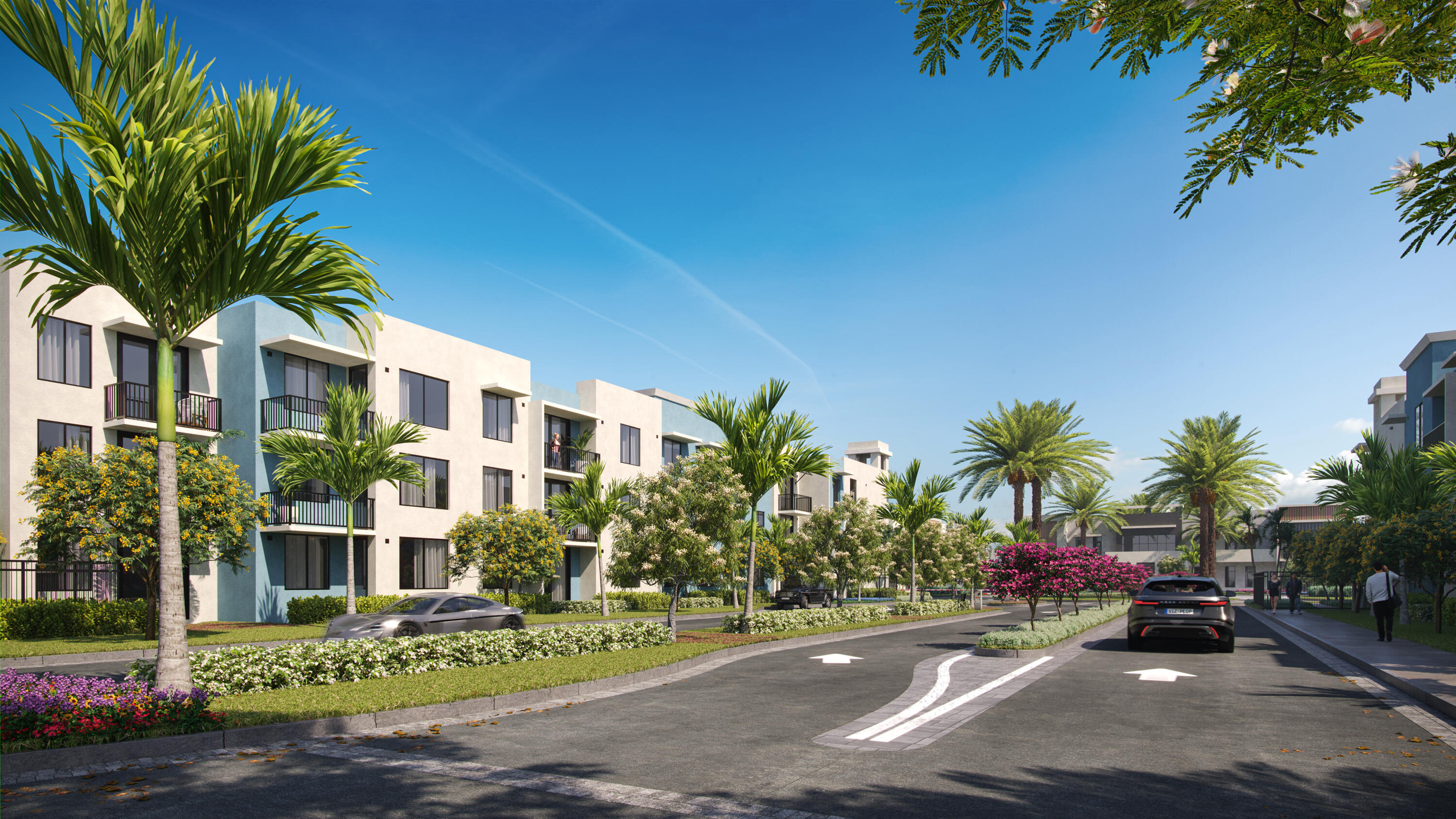 a view of a street with palm trees