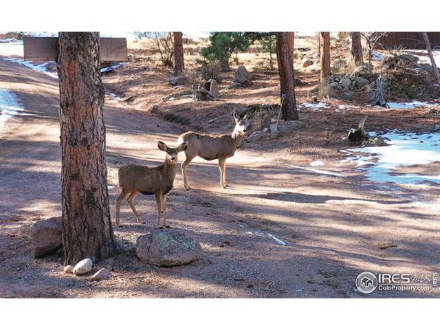 $159,000 | 0 Tbd) Pima Road | Pinewood Springs