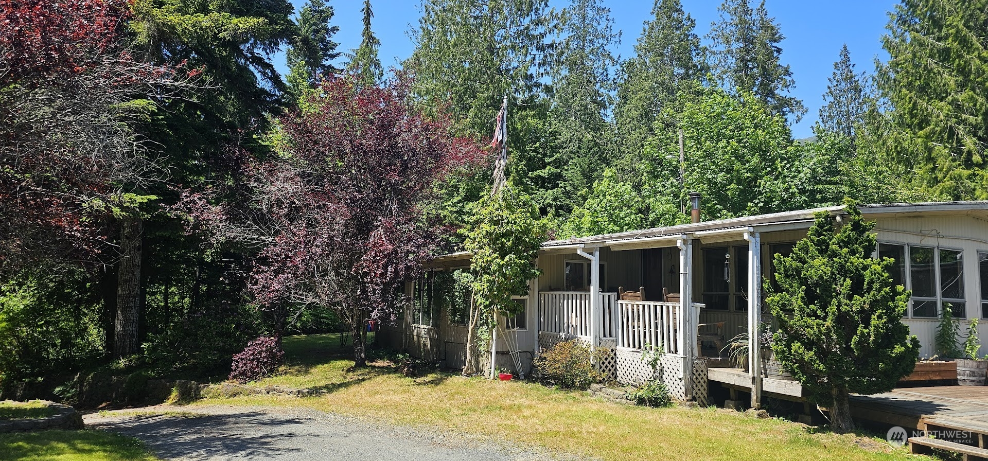 a view of backyard with potted plants and large tree