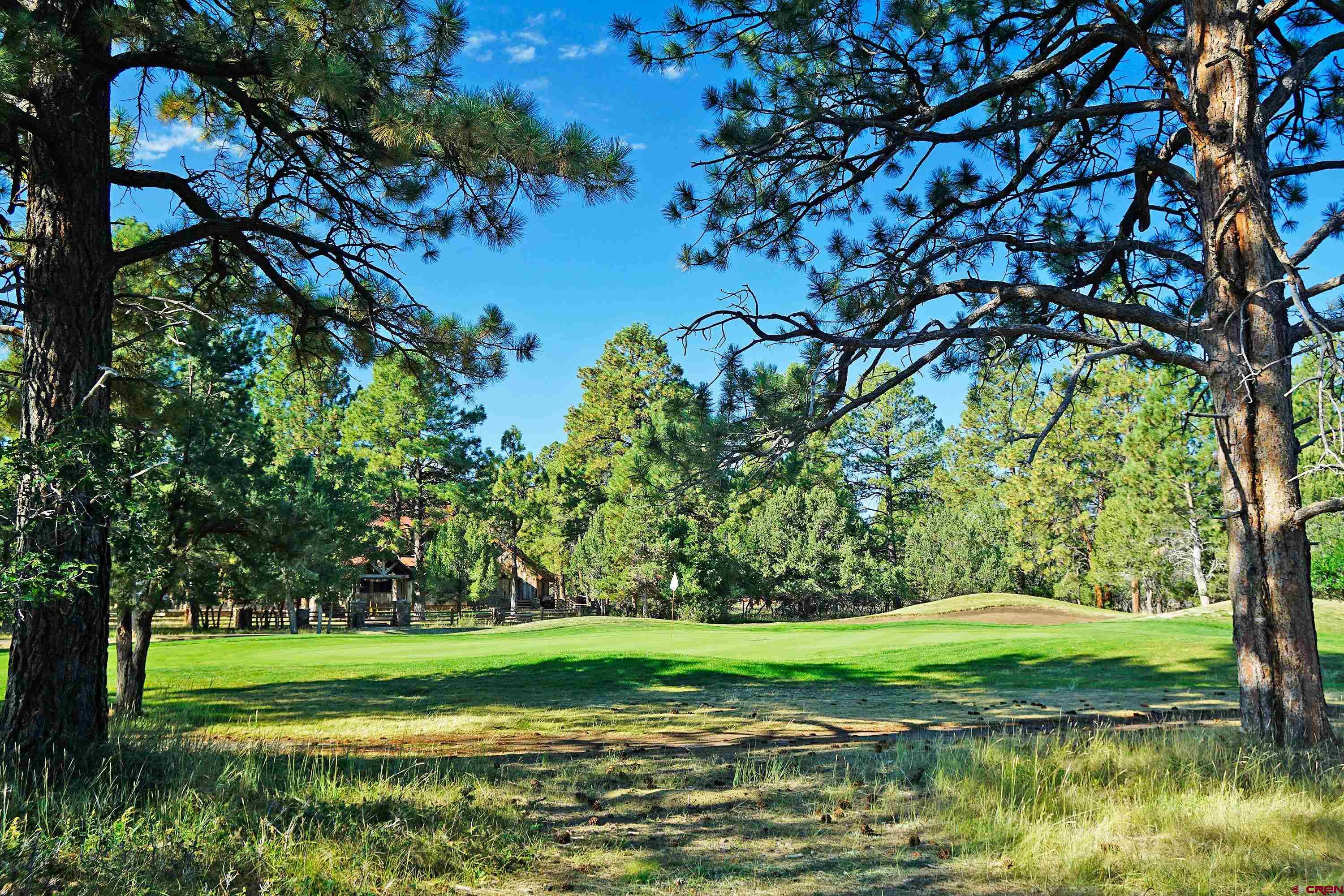 a view of a golf course with a lake