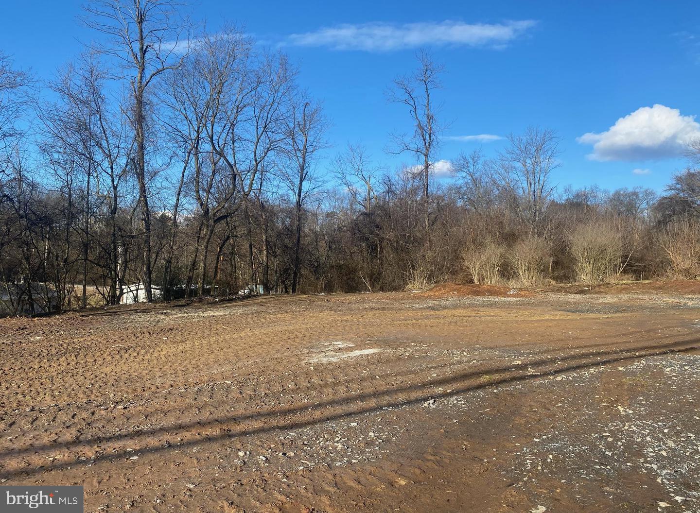 a view of a yard with trees