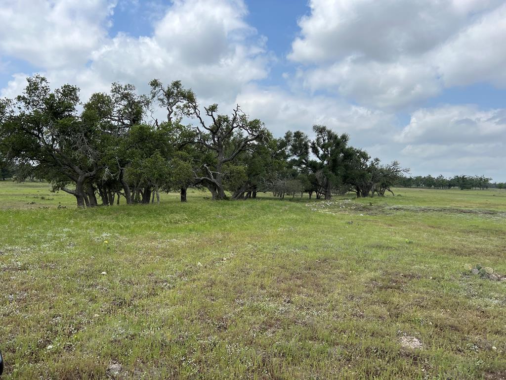 a view of outdoor space with green field