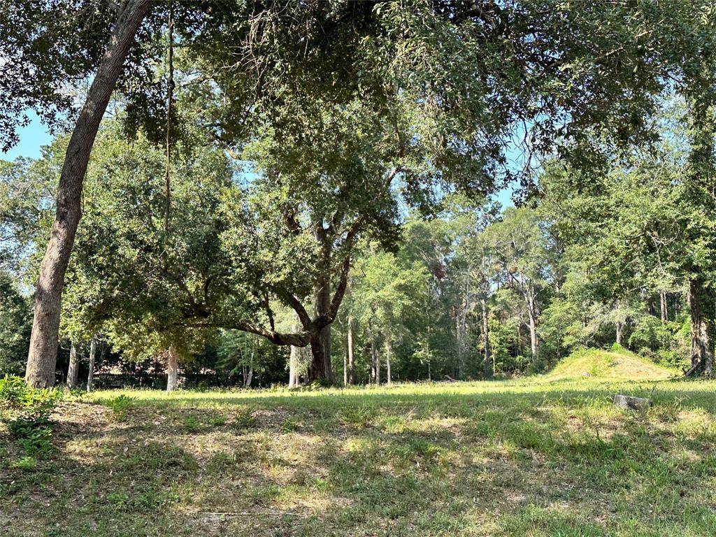 a view of a field with trees