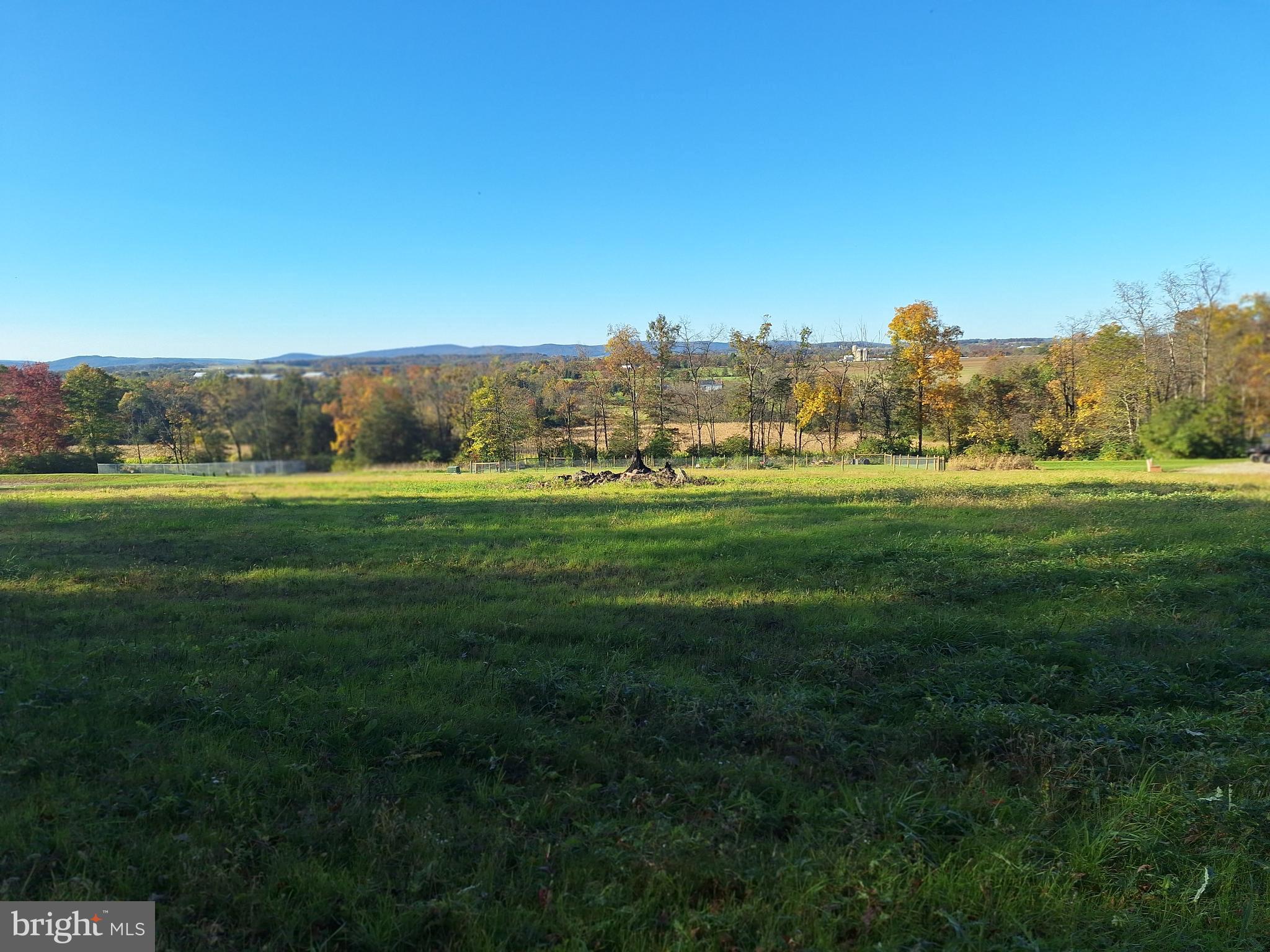 a grassy field with trees in the background