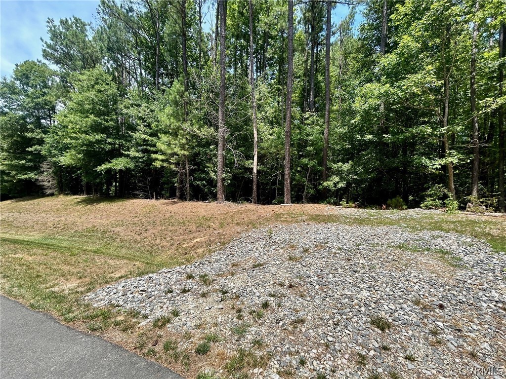 a view of outdoor space with trees