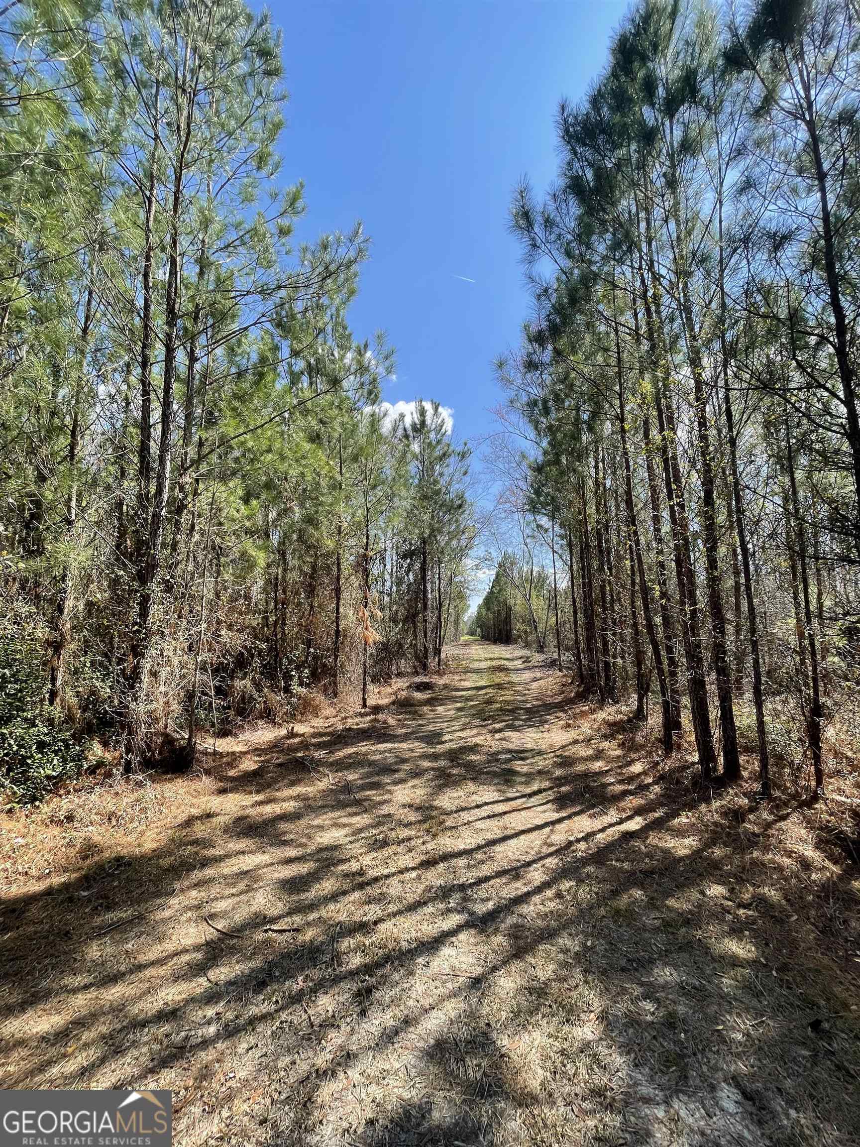 a view of road with trees